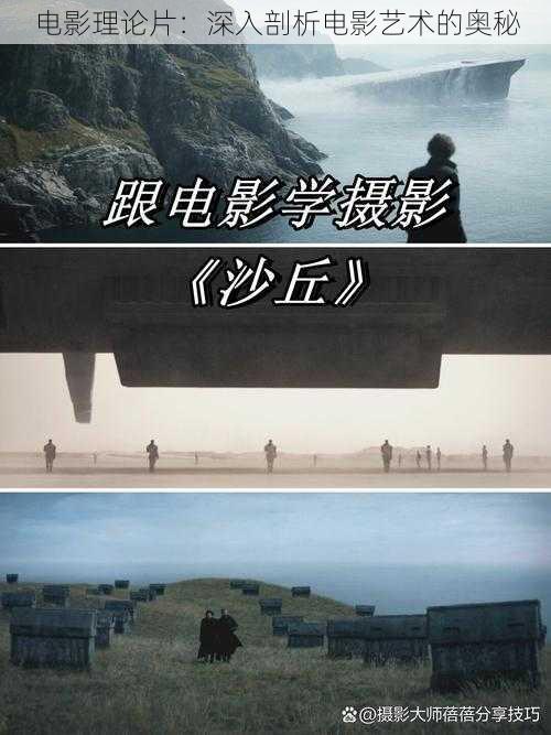 电影理论片:深入剖析电影艺术的奥秘