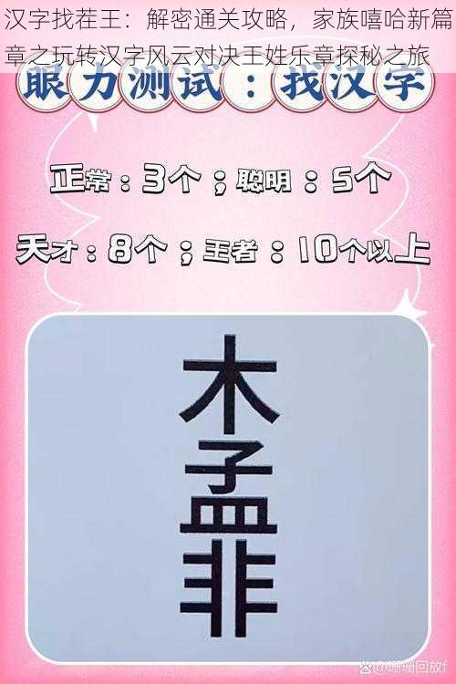 汉字找茬王:解密通关攻略,家族嘻哈新篇章之玩转汉字风云对决王姓乐章探秘之旅
