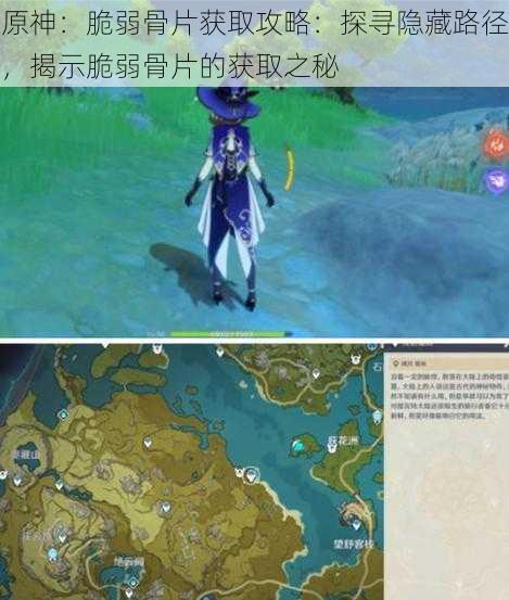 原神:脆弱骨片获取攻略:探寻隐藏路径,揭示脆弱骨片的获取之秘